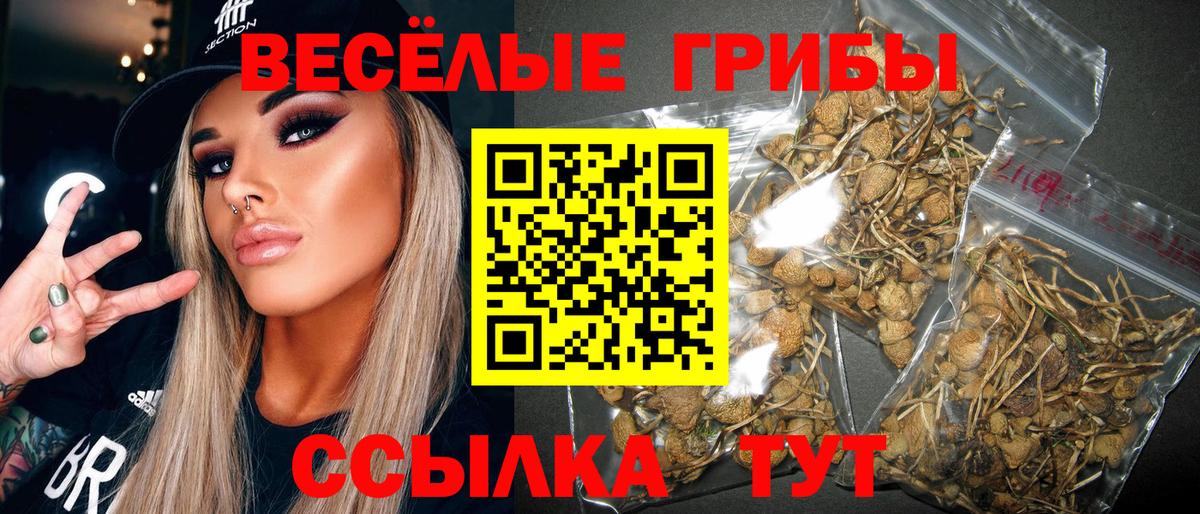Тула  Псилоцибиновые грибы Psilocybine cubensis  Вход с VPN 