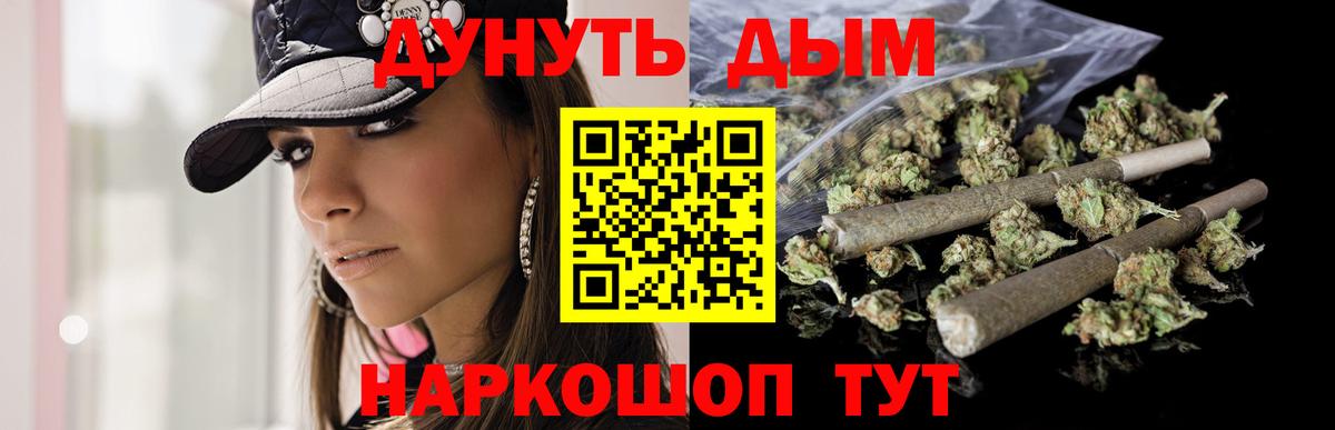 Бошки Шишки план Тула